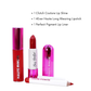 Smooch & Save Lip Combo new